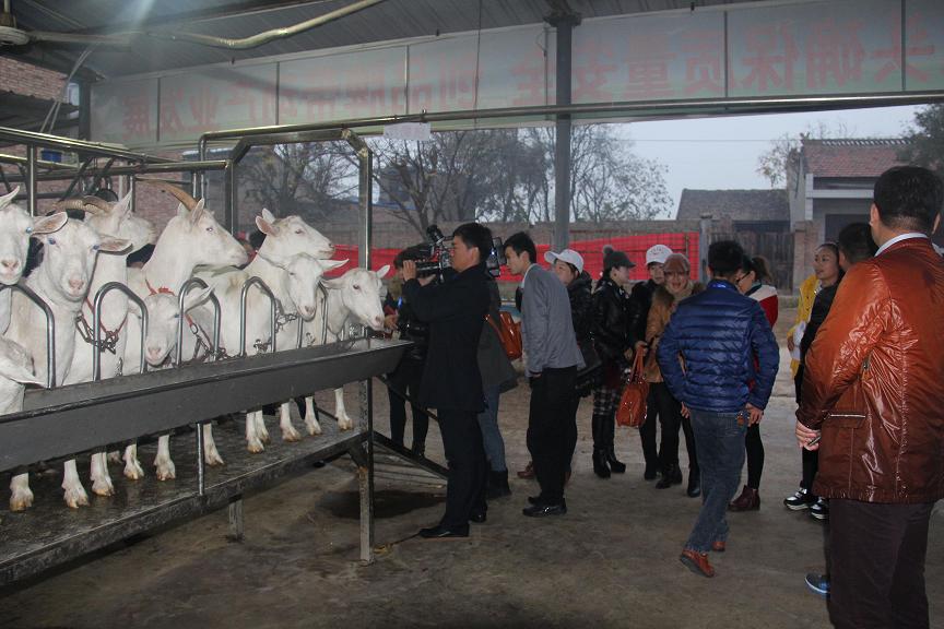 1-1512050Z025253 CA88(中国)唯一官方网站入口